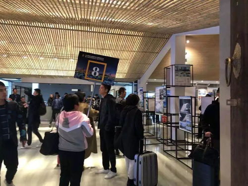 文投會務丨2019年度全國建筑設計創(chuàng)新創(chuàng)優(yōu)大會暨全國優(yōu)秀建筑設計展示交流會后勤保障工作圓滿完成