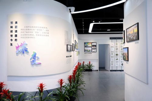 公園里的 店鋪 開張,文藝黨課開講 金山這個地方舉行系列活動迎 七一